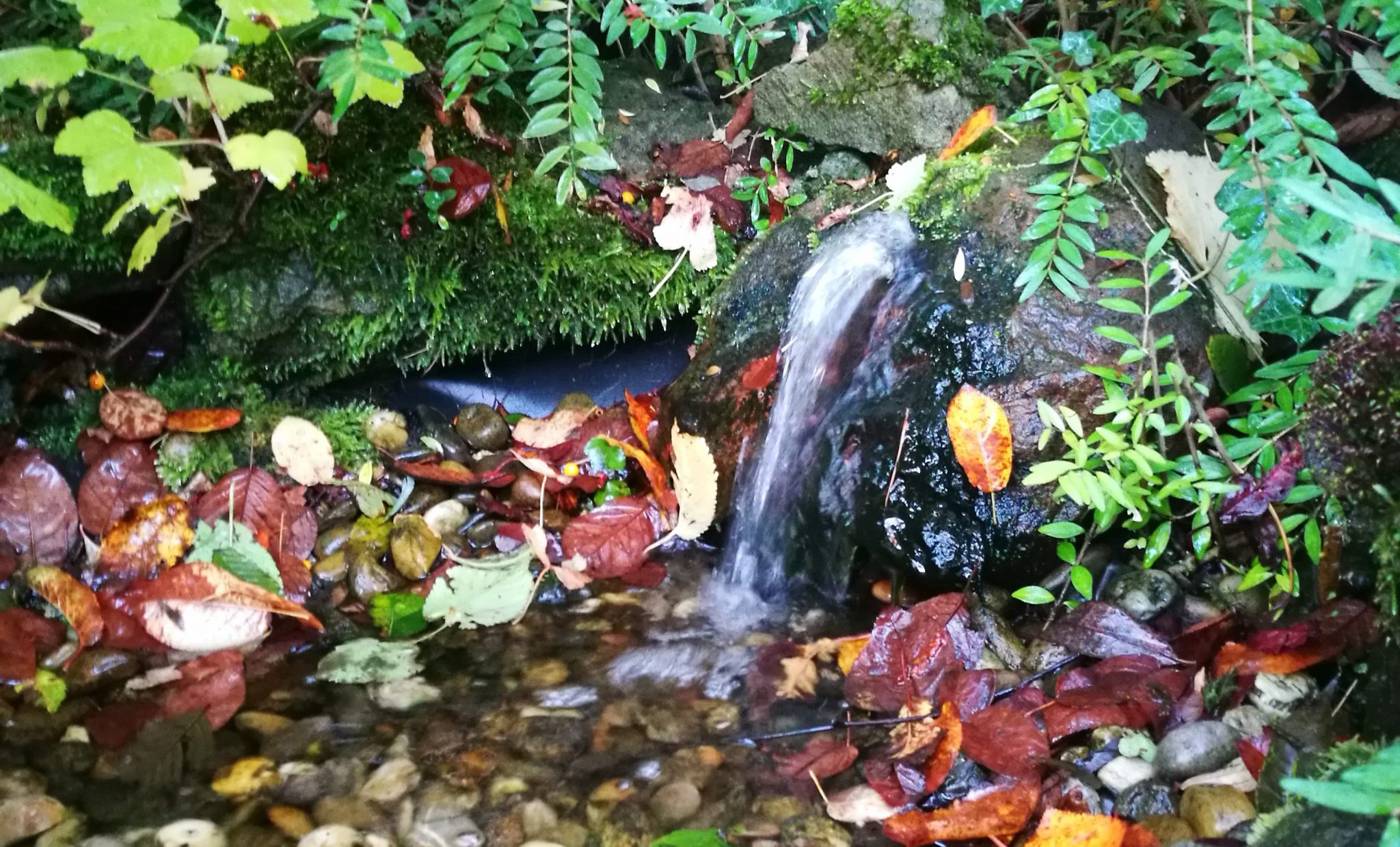 Kleiner Wasserfall im Hotelgarten Friesenhuus