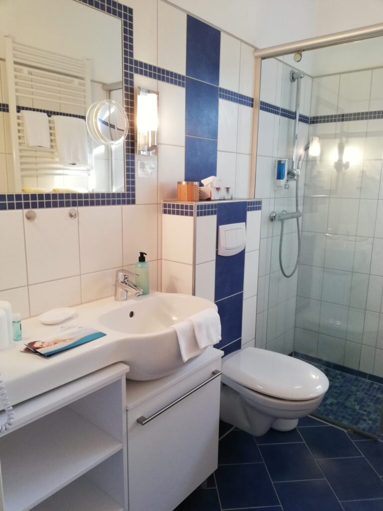 Ansicht eines Badezimmers mit Dusch- und Waschbereich