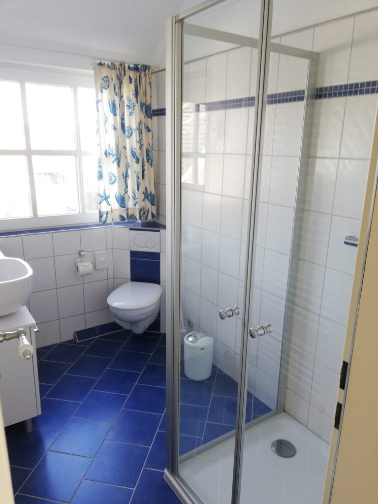 Ansicht eines Badezimmers mit Wasch- und Duschbereich, im Hintergrund eine Toilette und ein großes Fenster