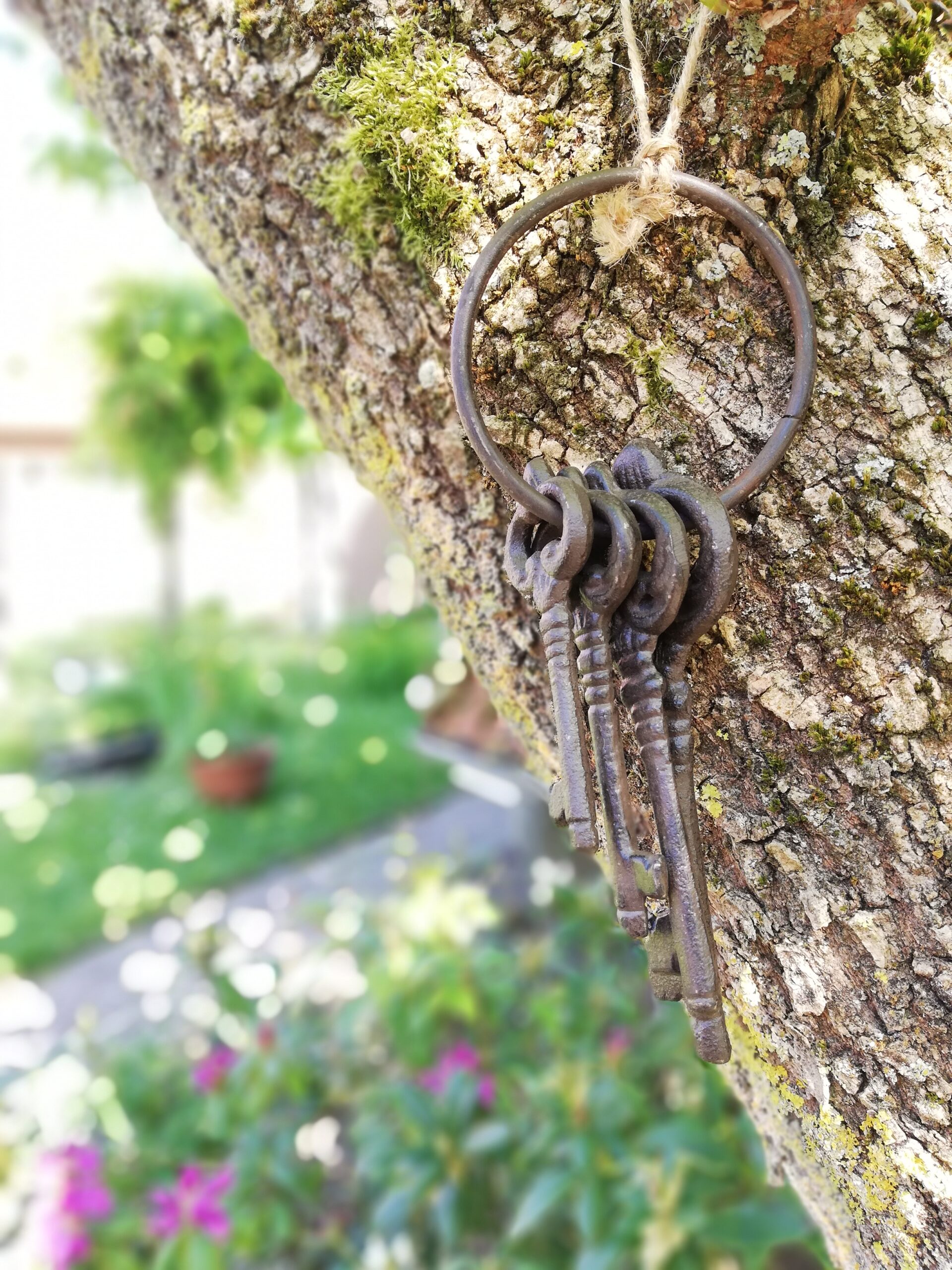 Alter Dekoschlüsselbund an einem Baum im Hotelgarten