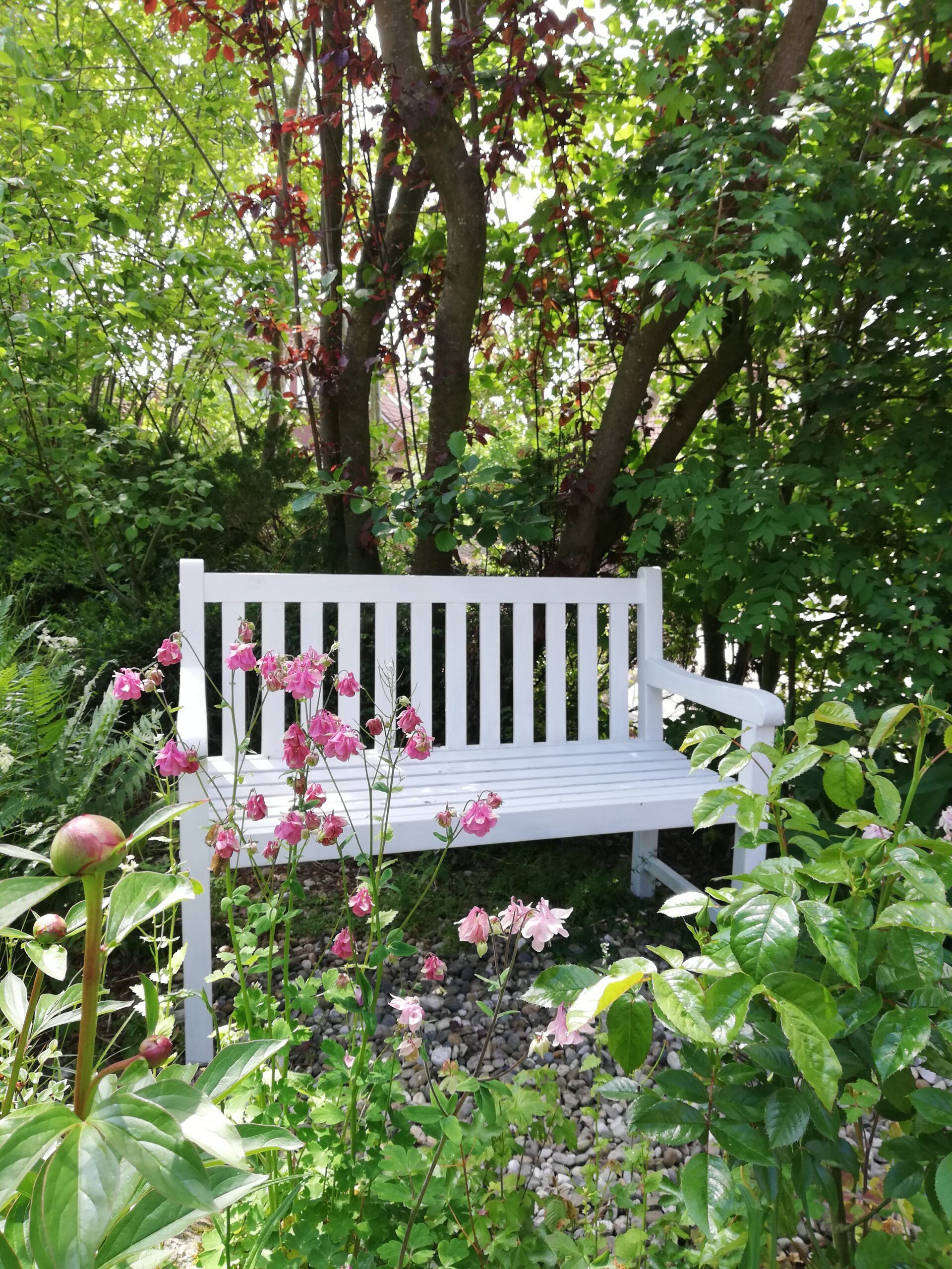 Sitzmöglichkeit inmitten des Hotelgarten Friesenhuus